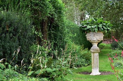 Какие кустарники посадить на участке: 30 лучших вариантов для красоты, пользы и настроения