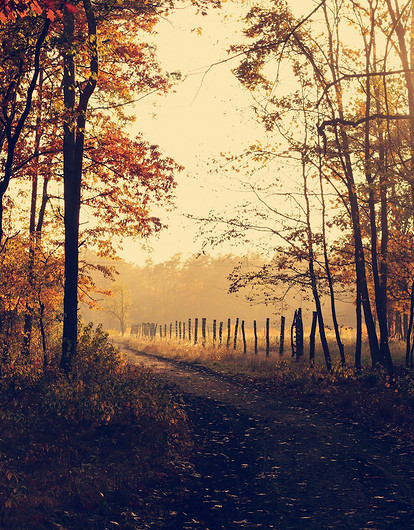 Психолог рассказала, как справиться с осенней хандрой