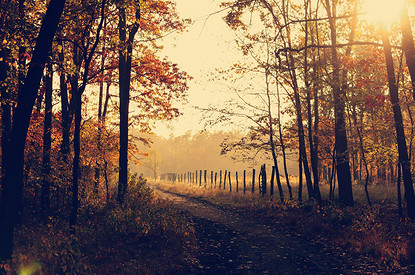 Психолог рассказала, как справиться с осенней хандрой