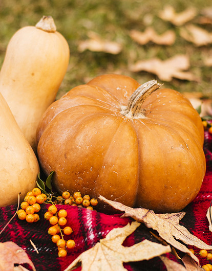 Когда собирать тыкву с грядки и как ее правильно хранить