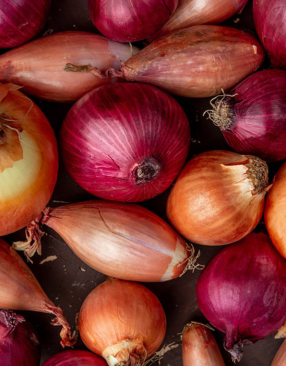 Хранение лука после уборки с грядки: 7 советов огороднику