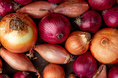 Хранение лука после уборки с грядки: 7 советов огороднику