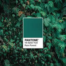 Фото: pantone.com