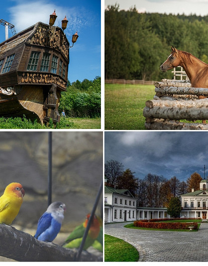 Самые красивые места в Подмосковье: 7 классных идей для прогулок