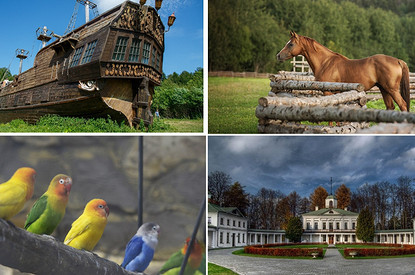 Самые красивые места в Подмосковье: 7 классных идей для прогулок