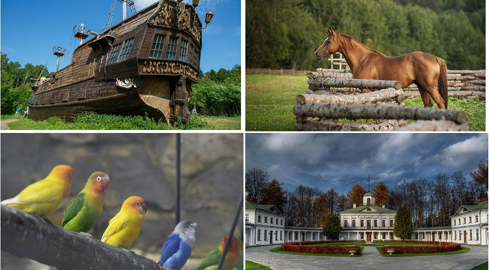 Самые красивые места в Подмосковье: 7 классных идей для прогулок
