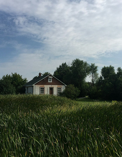 Как приобрести участок ниже рыночной стоимости и не только: 5 вопросов земельному эксперту