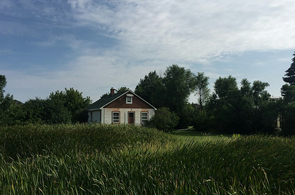 Как приобрести участок ниже рыночной стоимости и не только: 5 вопросов земельному эксперту