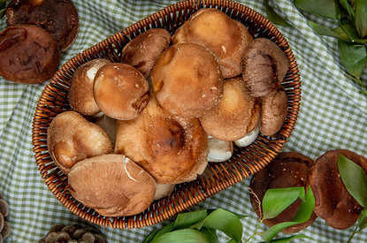 Как заморозить свежие и вареные грибы на зиму: подробная инструкция