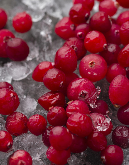 Клюква: польза и вред природного антибиотика для здоровья