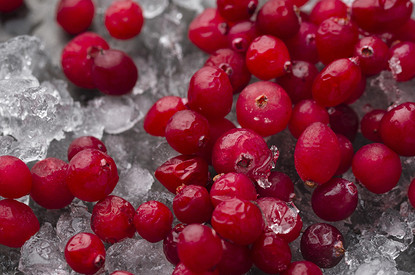 Клюква: польза и вред природного антибиотика для здоровья