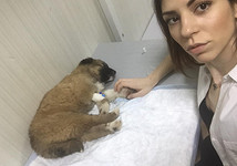 30 интервью с уникальными женщинами: волонтер и модель арт-ню Елизавета Болкова