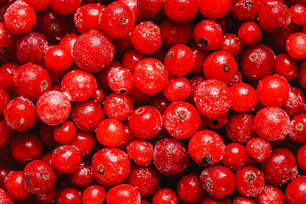 25 вкусных и полезных рецептов тыквенного сока на зиму
