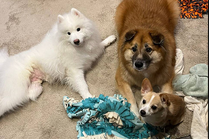 30 интервью с уникальными женщинами: волонтер и модель арт-ню Елизавета Болкова