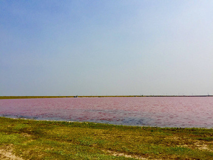 Соленые озера в России: топ-10 красивых мест, чтобы отдохнуть и поправить здоровье