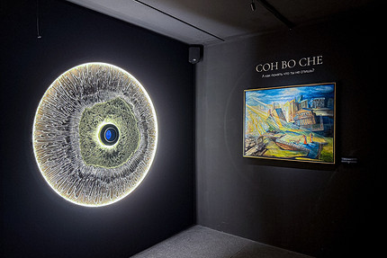 «Сон в музее»: инновационная мультисенсорная выставка-переживание