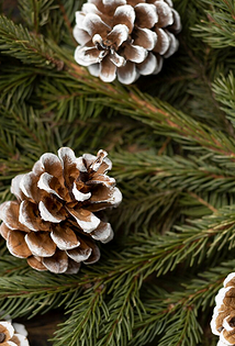 Как украсить елку на Новый 2026 год, чтобы Лошадь принесла удачу