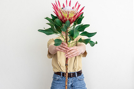 О чем говорят народные приметы с цветами: от укола шипами до упавших бутонов