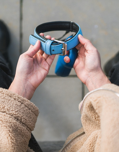 Как пережить смерть питомца и сохранить теплую память, а не страдание