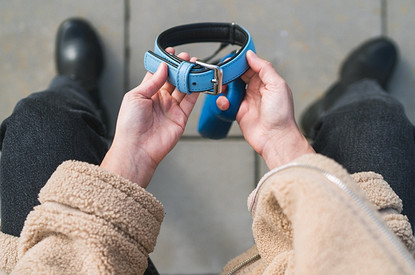 Как пережить смерть питомца и сохранить теплую память, а не страдание