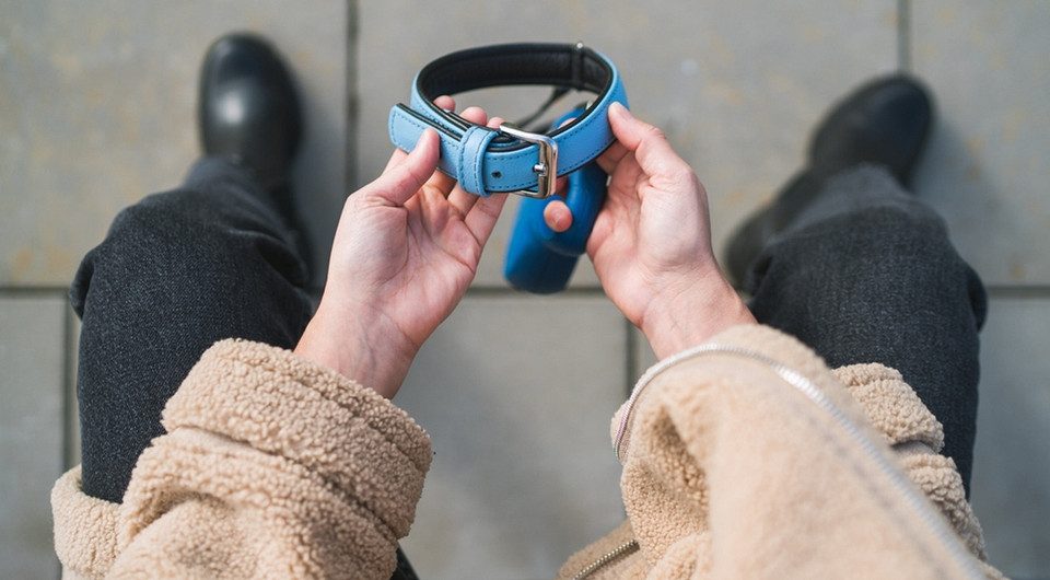 Как пережить смерть питомца и сохранить теплую память, а не страдание