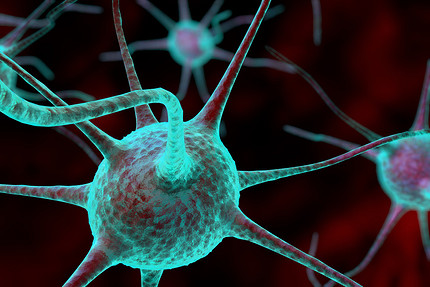 Восстанавливаются ли нервные клетки: что думают эксперты о возможностях нашего мозга