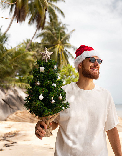 Куда поедут россияне на Новый год: какие страны выбрали бюджетные и премиум-туристы