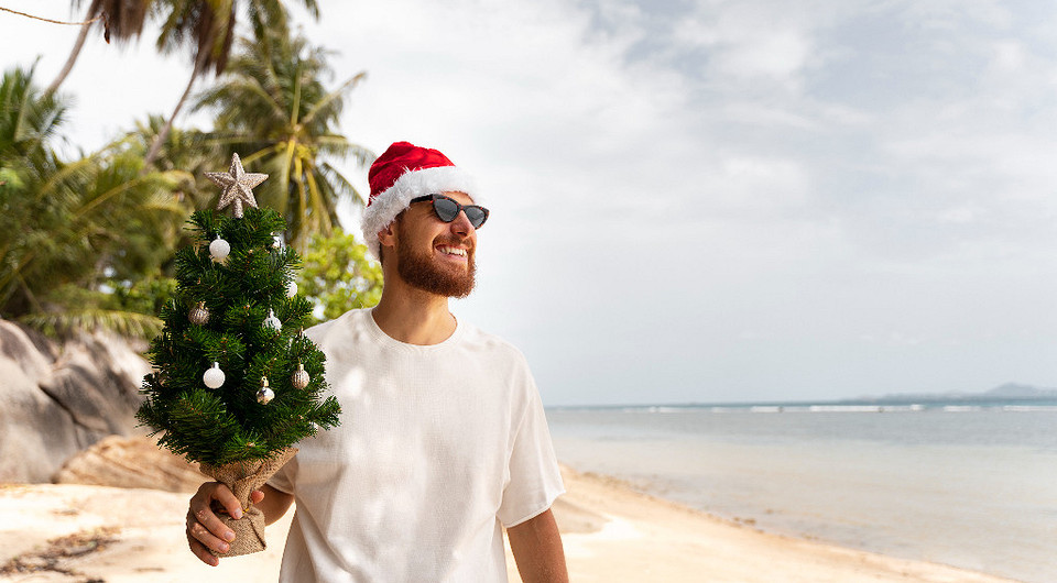 Куда поедут россияне на Новый год: какие страны выбрали бюджетные и премиум-туристы