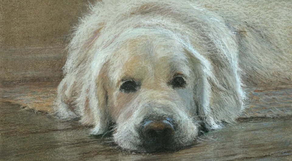 Искусство тишины: выставка «Сонеты в цвете» Наталии Казаковой в Новой Третьяковке