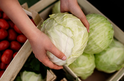 Лунный календарь засолки капусты на 2026 год