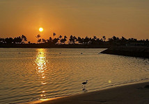 Тихая роскошь у моря: 10 причин отправиться в Оман этой зимой