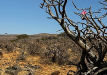 Тихая роскошь у моря: 10 причин отправиться в Оман этой зимой