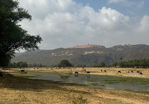 Тихая роскошь у моря: 10 причин отправиться в Оман этой зимой