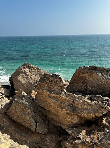 Источник в этом блоке: фото из архива автора