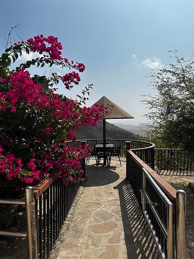 Источник в этом блоке: фото из архива автора