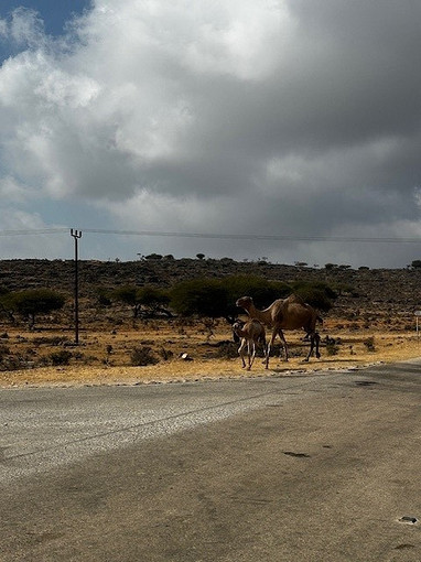 Источник в этом блоке: фото из архива автора