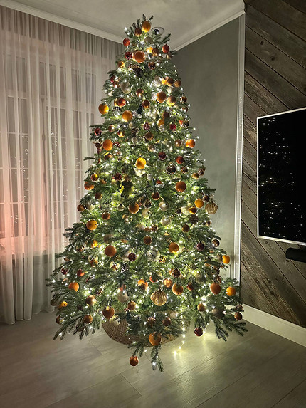 Новогодний гламур: самые стильные и роскошные елки российских звезд