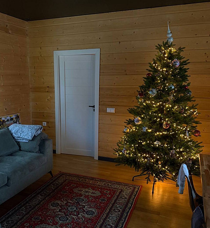 Новогодний гламур: самые стильные и роскошные елки российских звезд