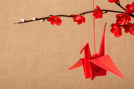 Как загадать желание на Новый год, чтобы оно исполнилось