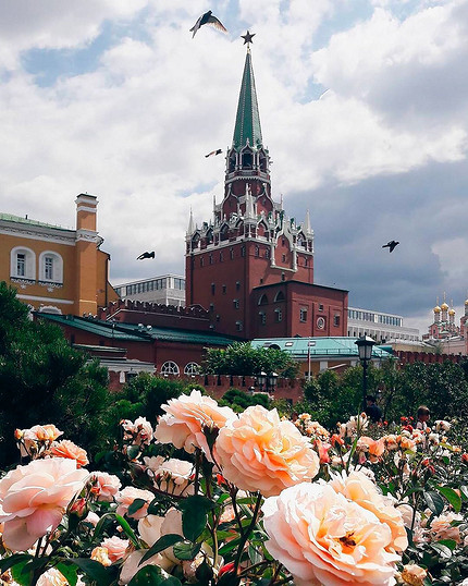 15 самых экологически чистых городов в России