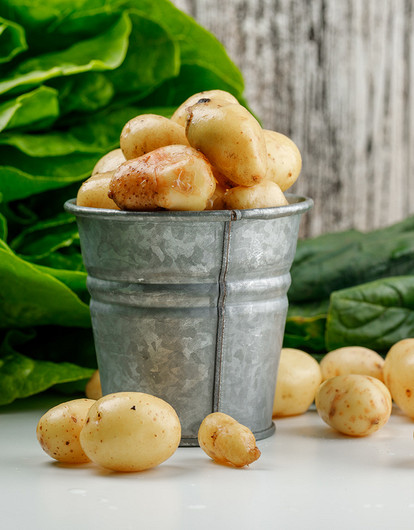 Какой сорт картофеля самый вкусный: 38 лучших вариантов и правила посадки