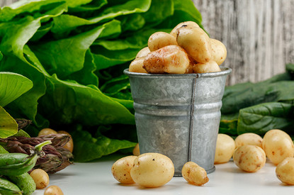 Какой сорт картофеля самый вкусный: 38 лучших вариантов и правила посадки