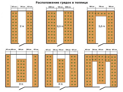 Как расположить грядки в теплице: советы по планировке для хорошего урожая