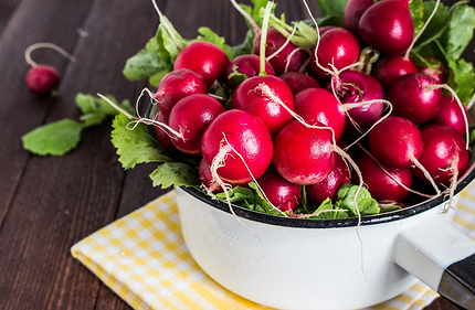 Вкусные рецепты из редиса: 20 блюд для всей семьи