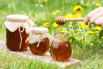 Варенье из одуванчиков в домашних условиях: 17 простых и вкусных рецептов