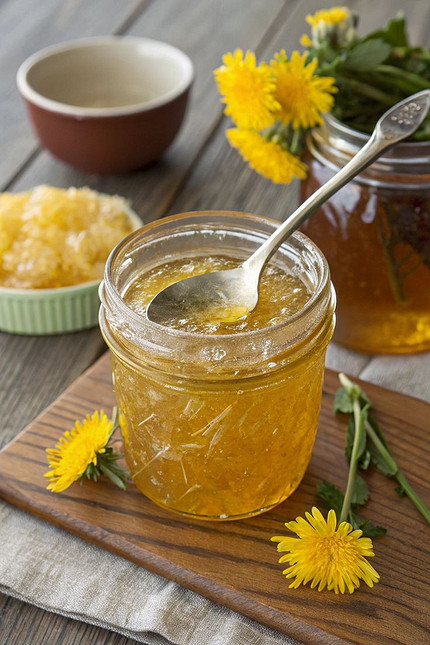 Варенье из одуванчиков в домашних условиях: 17 простых и вкусных рецептов