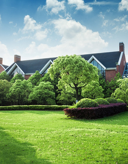 Как выровнять участок под газон: пошаговая инструкция