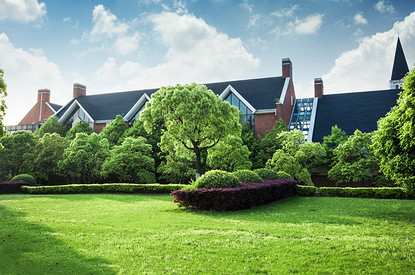 Как выровнять участок под газон: пошаговая инструкция