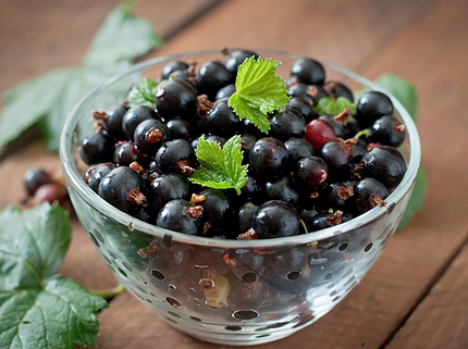 Варенье из черники: 18 вкусных рецептов