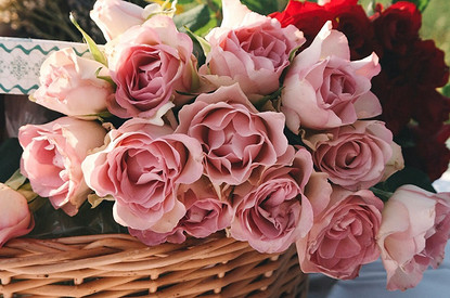 50 оттенков розового: новый конкурс в нашем telegram-канале